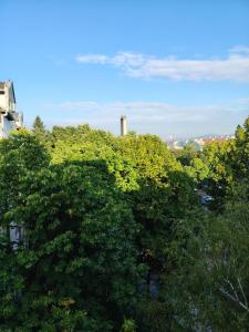 Ćele-kula Apartment