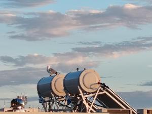 The best location in Makarska,free P, option bikes