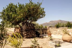 Nivritos Stoney Guesthouse