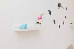 Downtown View - AP Margherita -