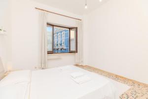 Downtown View - AP Margherita - img26