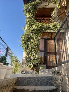 Katies Abode, Hartola