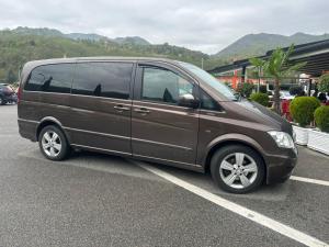 Mercedes Benz Viano