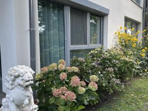Ferienwohnung Seeperle