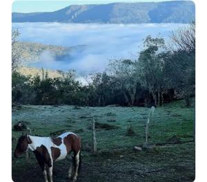 OctoCabana na montanha - rústica e luxuosa c banheira