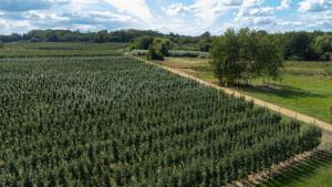 Uroczysko nad Pilicą Sauna & Balia
