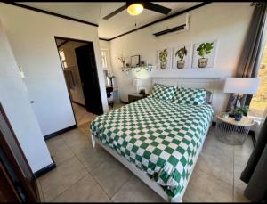 Gorgeous Ocean View Private home, 4 bedrooms with en suite, private plunge pool