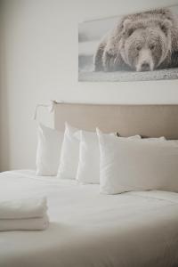Private luxury Room -B, King bed, Full Ensuite, Free Shuttle to ski hill and Resort