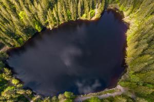 Kurhotel Schluchsee App 3309 - Schluchseestübchen-mit Indoorpool- Schluchsee