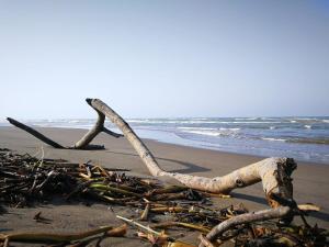 Villa Cristina en Villas Camino Real cerca de las dunas de Chachalacas