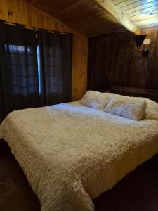 Torreòn Cabañas Pelluhue