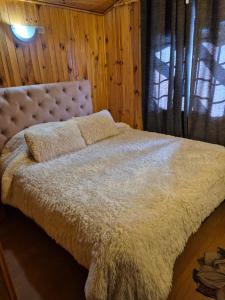 Torreòn Cabañas Pelluhue