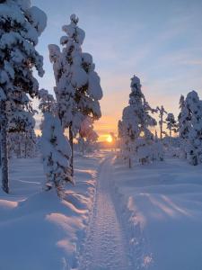 Cozy Arctic Lakeside Cottage with private sauna