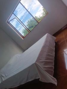 El Mirador del Mango