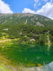 Studio DeLuxe King with mountain view and spa rilski