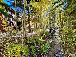 Bryant Home 1826 by SummitCove Lodging