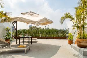 Umbral Sky Domes in Roma Norte