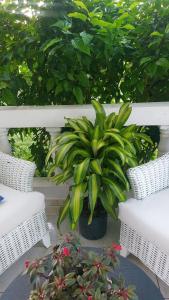 Charming 1 bdr apt w pool 5min Popi beach