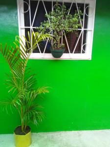 All in one Accommodation, Tour to the 7 waterfalls