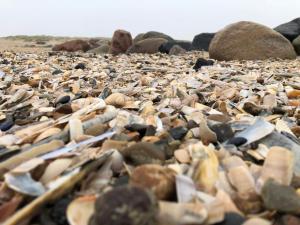 Luxury Pool Retreat in Blavand - By Traum Ferienwohnungen