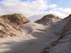 Bright Beach House with Sauna - By Traum Ferienwohnungen