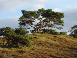 Luxury Pool Villa in Vejby - By Traum Ferienwohnungen