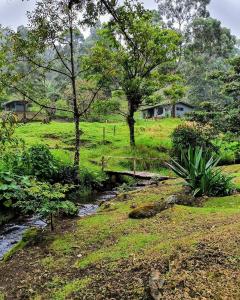 Olingo Monteverde - Studio Apartment with Jacuzzi