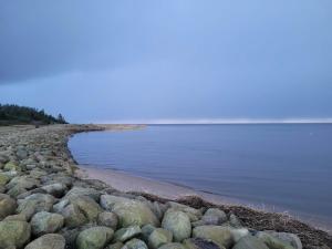 0 person holiday home in Hemmet