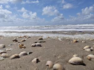 Luxury Villa with Pool - By Traum Ferienwohnungen