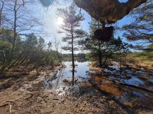 Luxury Villa with Pool - By Traum Ferienwohnungen