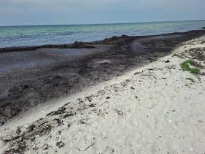 6 person holiday home in Rødby-By Traum