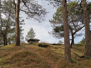 4 person holiday home in Oksbøl-By Traum