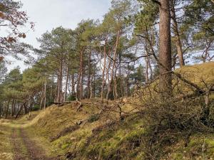 4 person holiday home in Oksbøl-By Traum