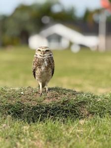 Casa marina Santa Lucía , barrio privado único en Uruguay