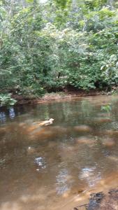 Refugio Chabelita Hostel