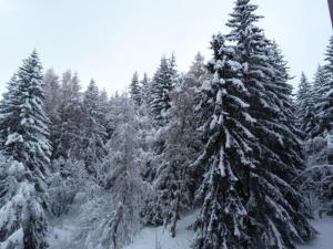 Studio cosy à Arc 1800 pour 2 personnes - FR-1-411-999