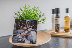 Lakeside Aurora Retreat By BookLapland