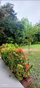 Pasak River Bungalow