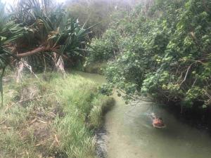 Orchid Oasis Orchid Beach KGari Fraser Island