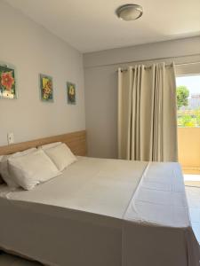 Golden Dolphin Express - Ap Reconexão