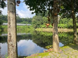 Cactos Countryside Homestay Trị An