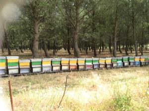 B&B Gennemara - Porta del Mare img25