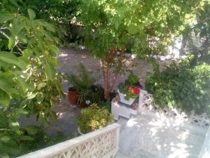 Guesthouse Karidia Lesvos Greece