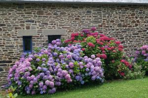 B&B / Chambres d'hotes Chambres d'Hotes La Loubatais : Chambre Double