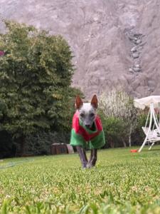 La Casita de Condoray - Lunahuana