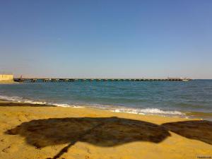 One Bedroom Chalet at Gardenia Al Wadi