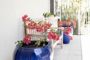 Bird and Leaf Cottage
