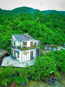 Monkey Homestay & Bar