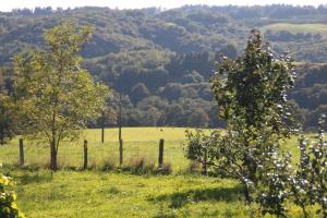Apartment Fleur de Lys Bleue