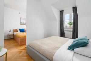 Lumina spacious apartments in the Old Town